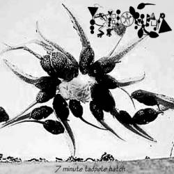 7 Minute Tadpole Hatch